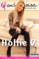 Hollie D in  gallery from ONLYTEASE COVERS