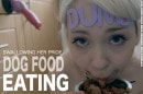 Dog Food Eating gallery from PETGIRLS