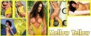 Angela Taylor & Candice Michelle & Carlee Benoit & Harmony Guffey & Stacy Sanches in More Features - Mellow Yellow gallery