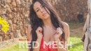 Kelly W in Hot In Red Mesh gallery from REALBIKINIGIRLS