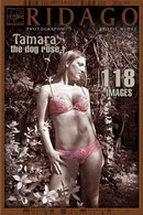 Tamara in Dog Roses gallery from RIDAGO by Carlos Ridago