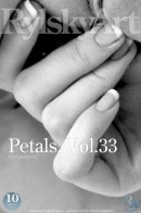 Petals. Vol.33