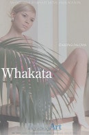 Paloma in Whakata video from RYLSKY ART by Rylsky