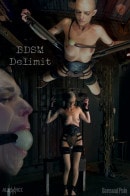 Abigail Dupree in BDSM Delimit gallery from SENSUALPAIN