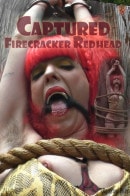 Captured Firecracker Redhead
