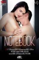 Lee Anne in Notebook video from SEXART VIDEO by Andrej Lupin