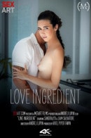 Love Ingredient