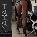 Zarah in #230 - Inspection gallery from SILENTVIEWS
