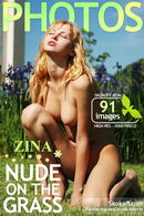 Zina in Nude On The Grass gallery from SKOKOFF by Skokov