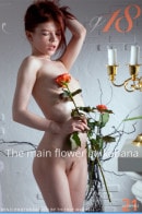 Renzi in The Main Flower In Ikebana gallery from STUNNING18 by Thierry Murrell