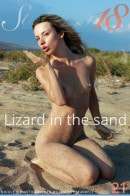 Lizard In The Sand