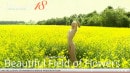 Zebina F in Zebina - Beautiful Field Of Flowers video from STUNNING18 by Thierry Murrell