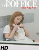 Red Fox in In The Office video from THEEMILYBLOOM