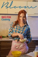 Red Fox in Cooking gallery from THEEMILYBLOOM