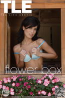 Maribel in Flower Box gallery from THELIFEEROTIC by Jordan Dexter