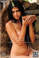 Amie in Tribal 1 gallery from THELIFEEROTIC by Oliver Nation