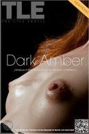 Ophelia H in Dark Amber gallery from THELIFEEROTIC by Higinio Domingo