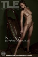 Brianna B in Beauty gallery from THELIFEEROTIC by Stan Macias