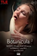 Mira V in Botanicula 2 video from THELIFEEROTIC by Paul Black