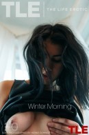 Sova in Winter Morning gallery from THELIFEEROTIC by Higinio Domingo