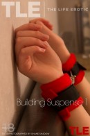 Ruta in Building Suspense 1 gallery from THELIFEEROTIC by Shane Shadow