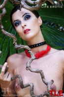 Danilla in Wild gallery from THELIFEEROTIC by Angela Linin