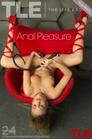 Attica in Anal Pleasure gallery from THELIFEEROTIC by Stan Macias