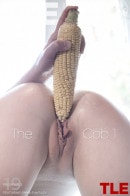 The Cob 1