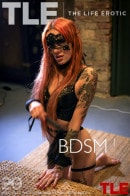 BDSM 1