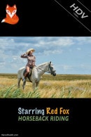 Red Fox in Horseback Riding video from THEREDFOXLIFE