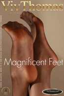 Aimee Celeste & Marlyn A & Nicole Smith in Magnificent Feet gallery from VIVTHOMAS by Viv Thomas