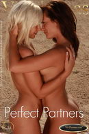 Tess A & Tracy Lindsay in Perfect Partners gallery from VIVTHOMAS by Viv Thomas