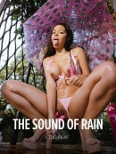 The Sound Of Rain