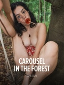 Carousel In The Forest