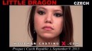 Little Dragon casting video from WOODMANCASTINGX by Pierre Woodman