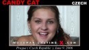 Candy Cat casting