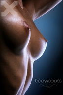 Bodyscapes