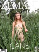 Dasha in Cane gallery from ZEMANI by Grot