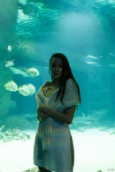 Ira Sedina Night At The Aquarium