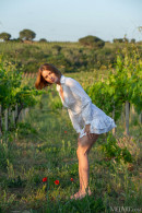 Amy Moloko in Vineyard View gallery from METART by Deltagamma - #6