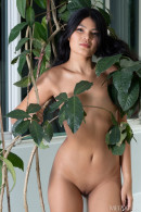 Kathai in Bold Display gallery from METART by Robert Graham - #15