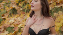 Lika Blackberry in Shy Teen Undressing During The Autumn Walk gallery from HOTANDSENSUAL - #7