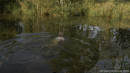 Claire Shelty in Blonde Wet Shirt Photoshoot In The River gallery from HOTANDSENSUAL - #11