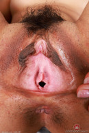 Hazel Heart in Gallery #16777215 gallery from ATKEXOTICS - #5