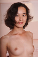 Djessy in Share My Fun gallery from LOVE HAIRY by Egon Schneider - #3