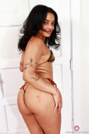 Rue in Gallery #16777215 gallery from ATKEXOTICS - #8