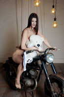 Viola Kat’s Teddy Gets The Best Seat On Motorcycle gallery from DOMINGOVIEW by Domingo - #13