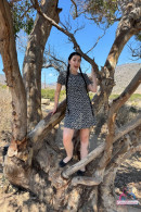 Daydream Daisy in AMATEURS SERIES  2 gallery from ATKGALLERIA - #15