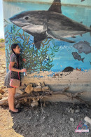 Daydream Daisy in AMATEURS SERIES  2 gallery from ATKGALLERIA - #7