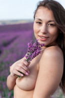 Sumiko in Lavender Fields gallery from METART by Marlene - #3